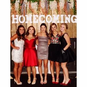 Meet your Posher, Bella